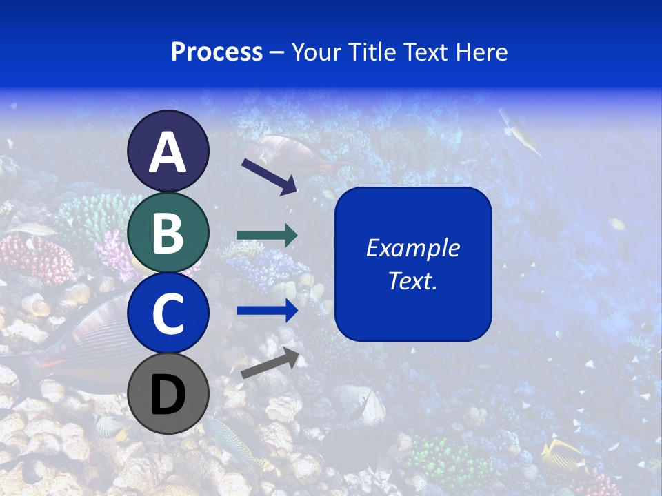 Elsheikh Aquatic Sea PowerPoint Template