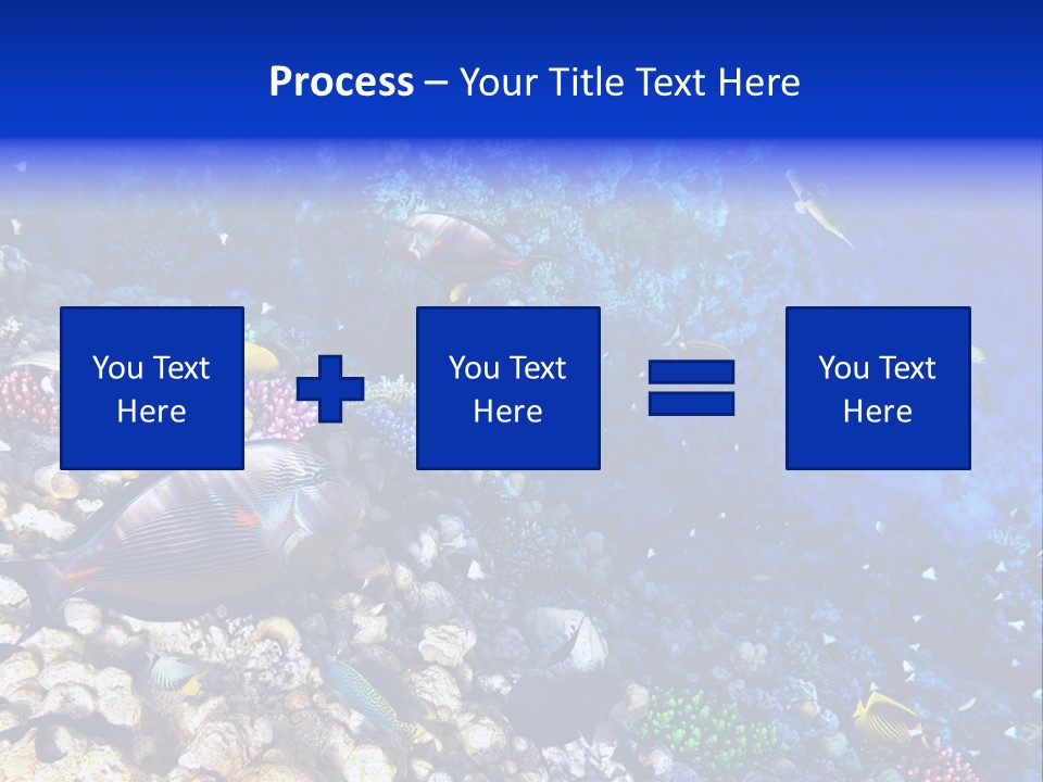 Elsheikh Aquatic Sea PowerPoint Template