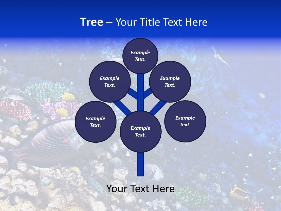 Elsheikh Aquatic Sea PowerPoint Template