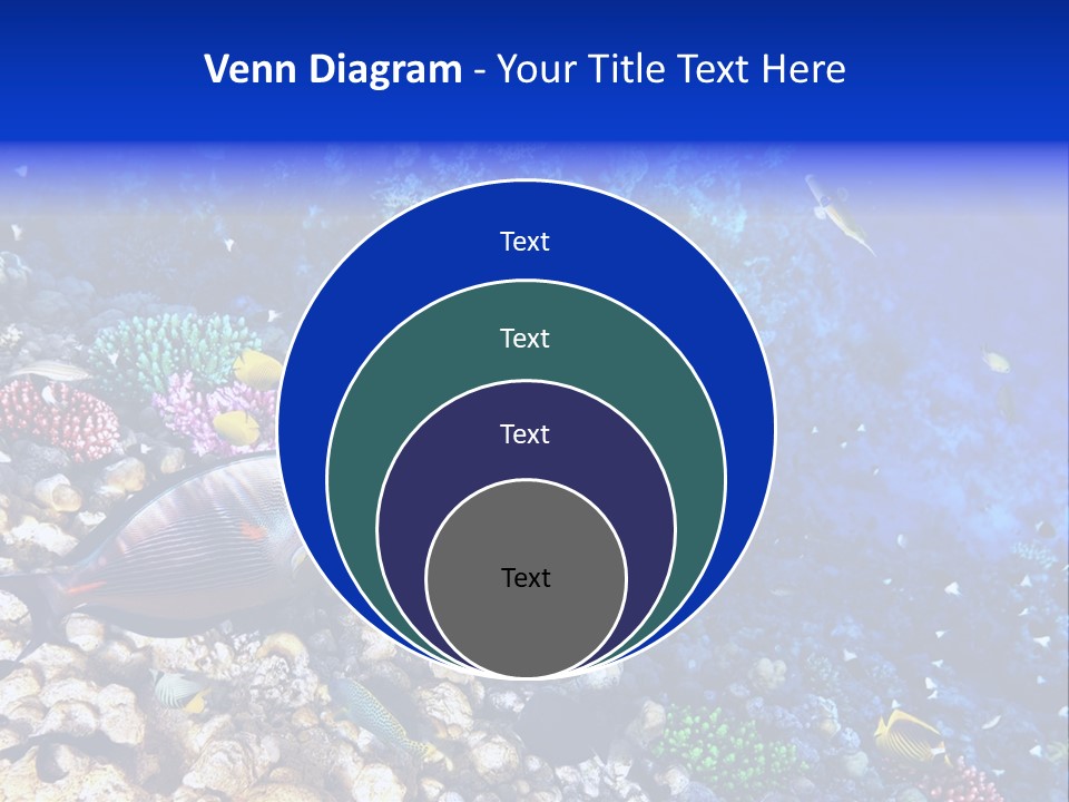 Elsheikh Aquatic Sea PowerPoint Template