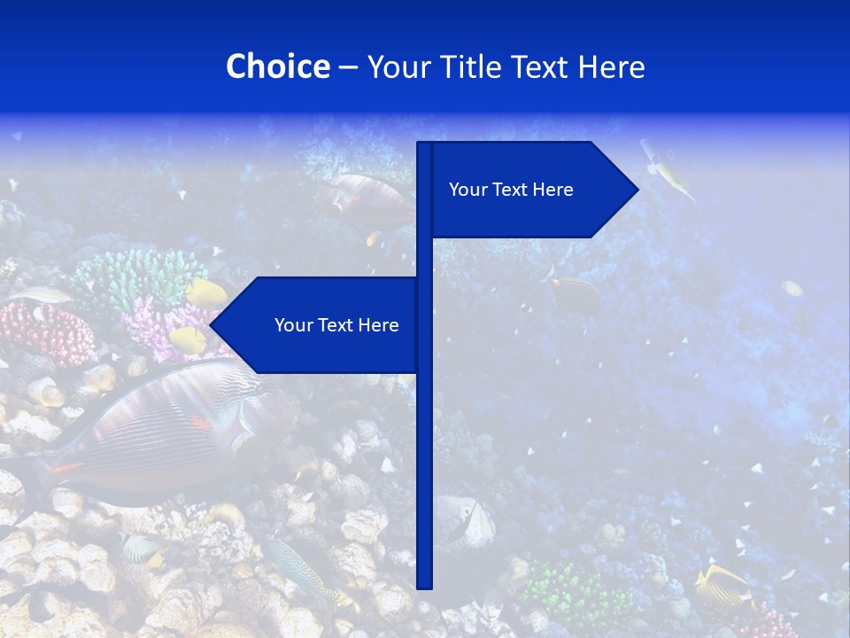 Elsheikh Aquatic Sea PowerPoint Template