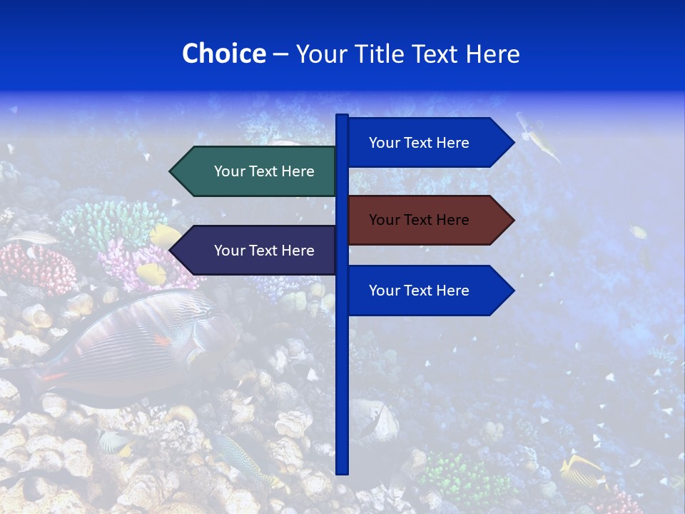 Elsheikh Aquatic Sea PowerPoint Template