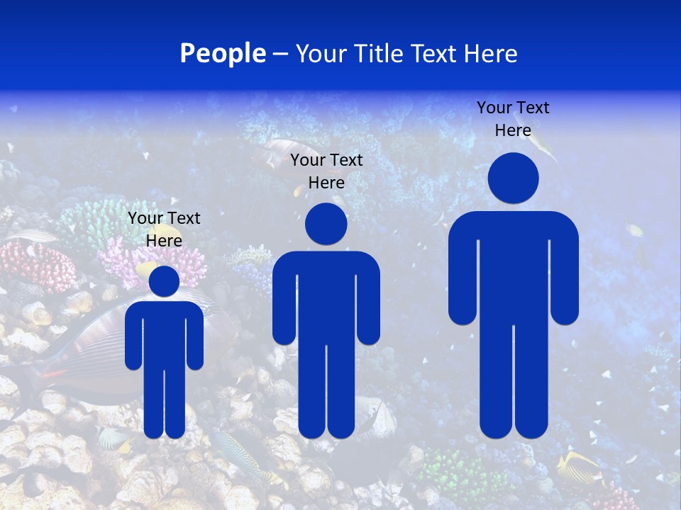 Elsheikh Aquatic Sea PowerPoint Template