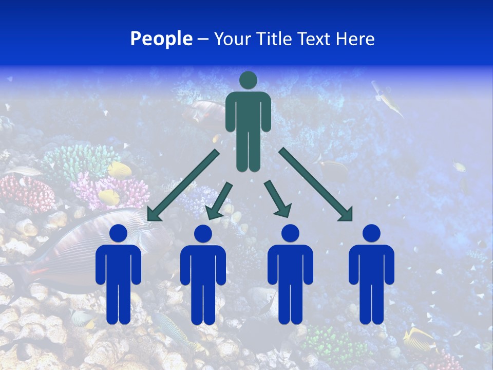Elsheikh Aquatic Sea PowerPoint Template