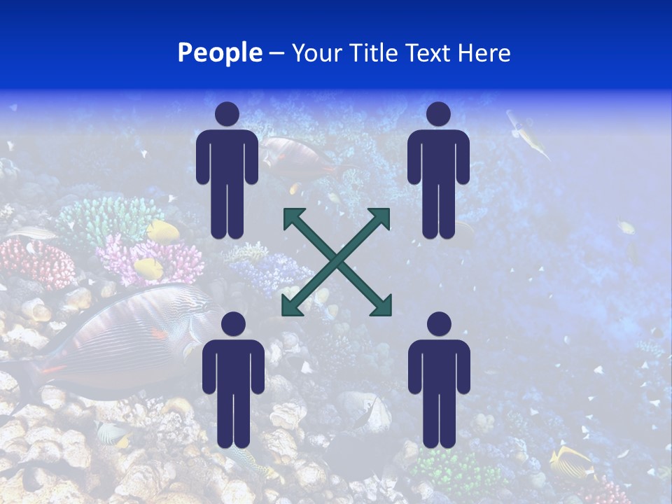 Elsheikh Aquatic Sea PowerPoint Template