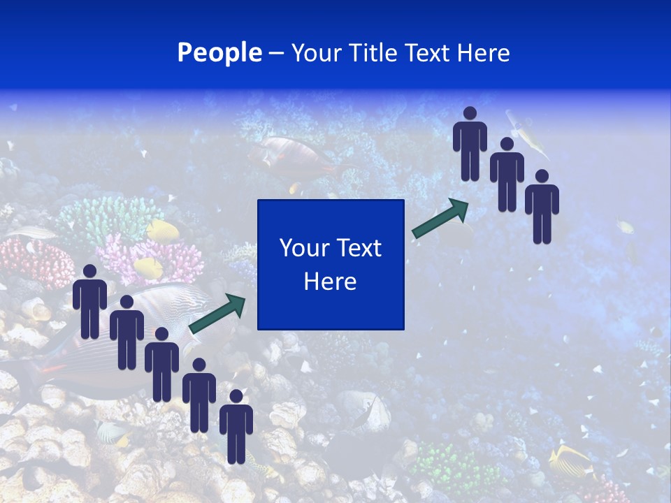 Elsheikh Aquatic Sea PowerPoint Template