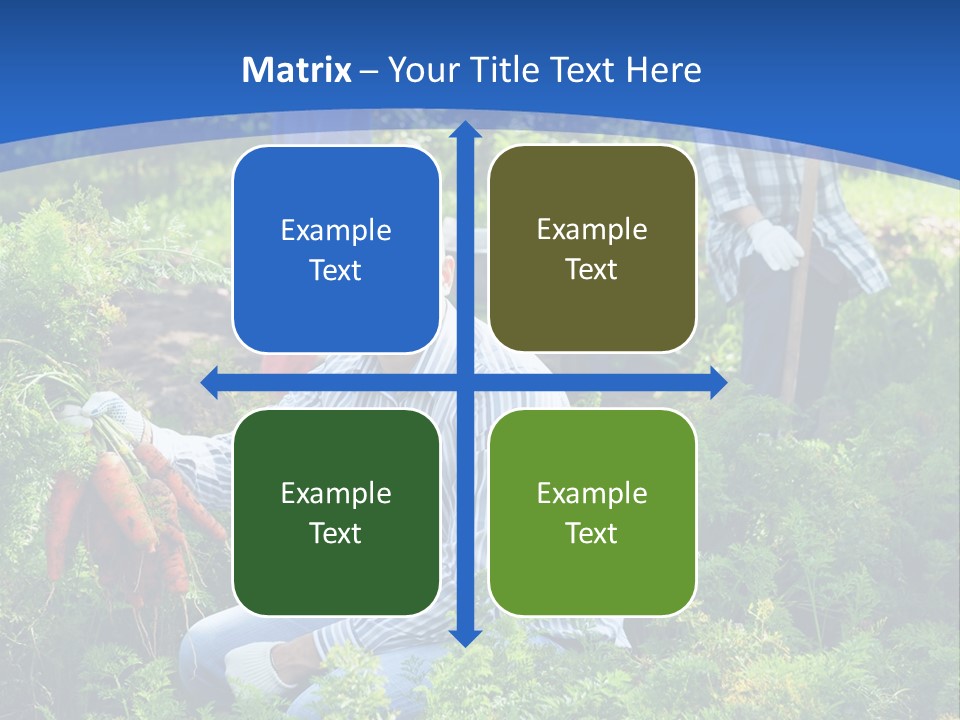 Lifestyle Showing Four PowerPoint Template