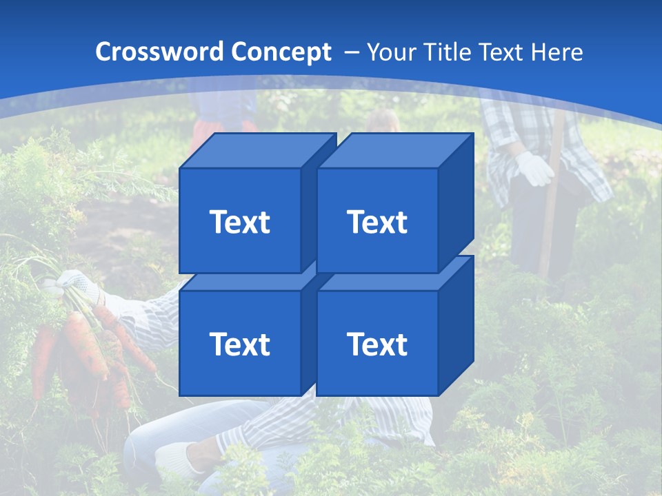 Lifestyle Showing Four PowerPoint Template