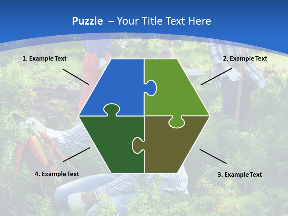 Lifestyle Showing Four PowerPoint Template