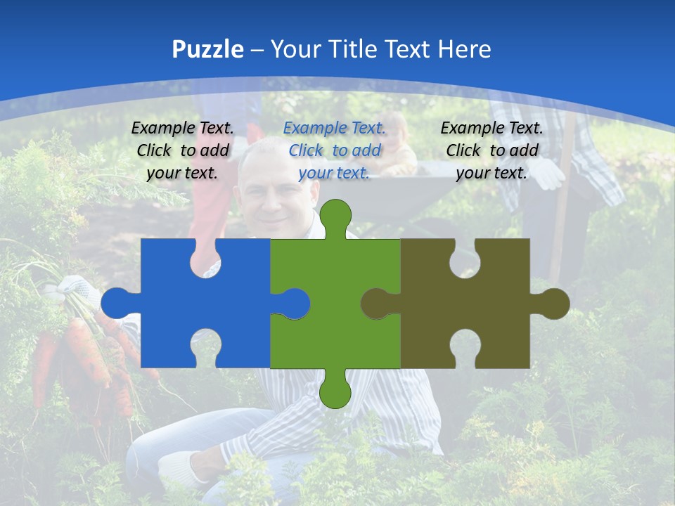 Lifestyle Showing Four PowerPoint Template