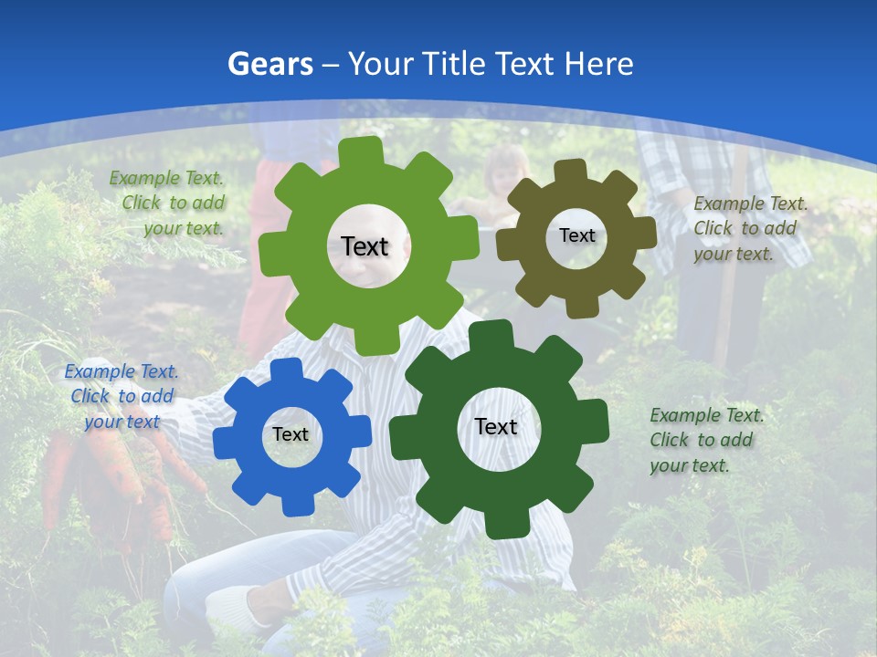 Lifestyle Showing Four PowerPoint Template