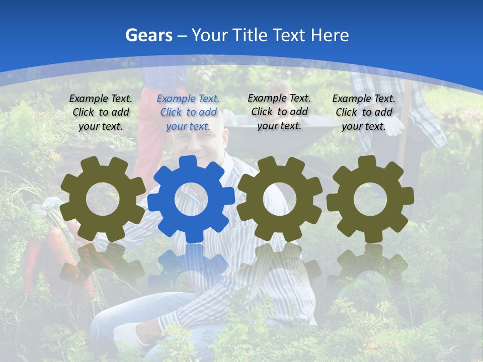 Lifestyle Showing Four PowerPoint Template