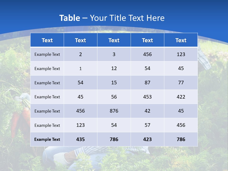 Lifestyle Showing Four PowerPoint Template