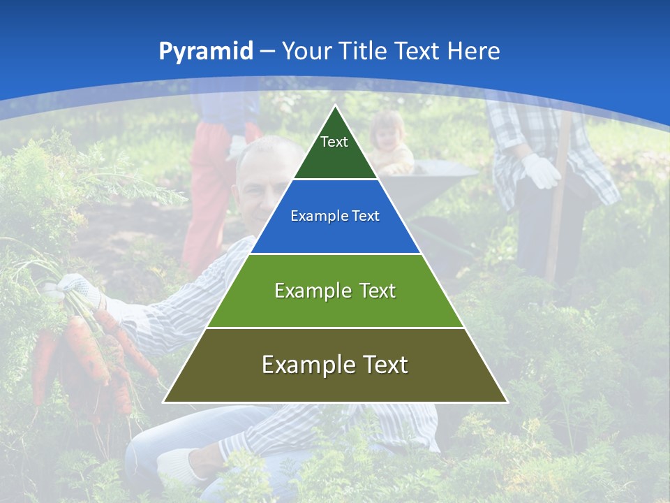 Lifestyle Showing Four PowerPoint Template