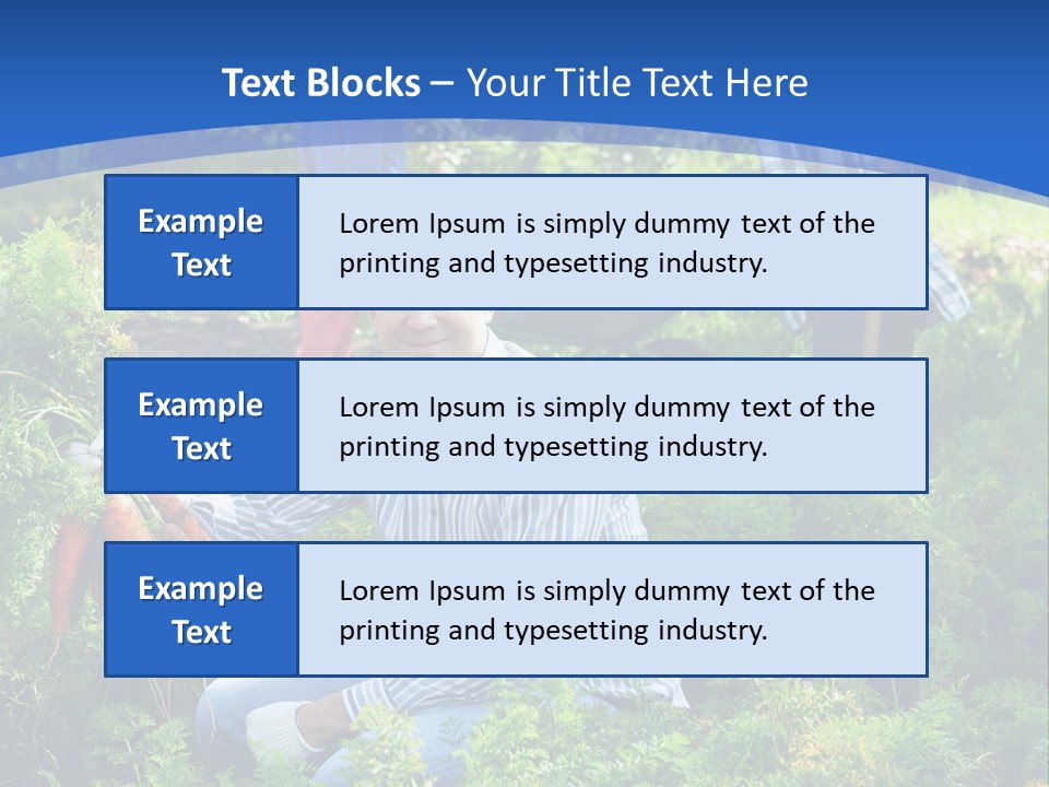 Lifestyle Showing Four PowerPoint Template