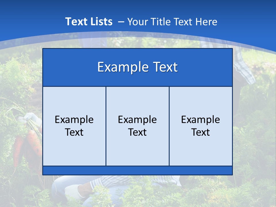 Lifestyle Showing Four PowerPoint Template