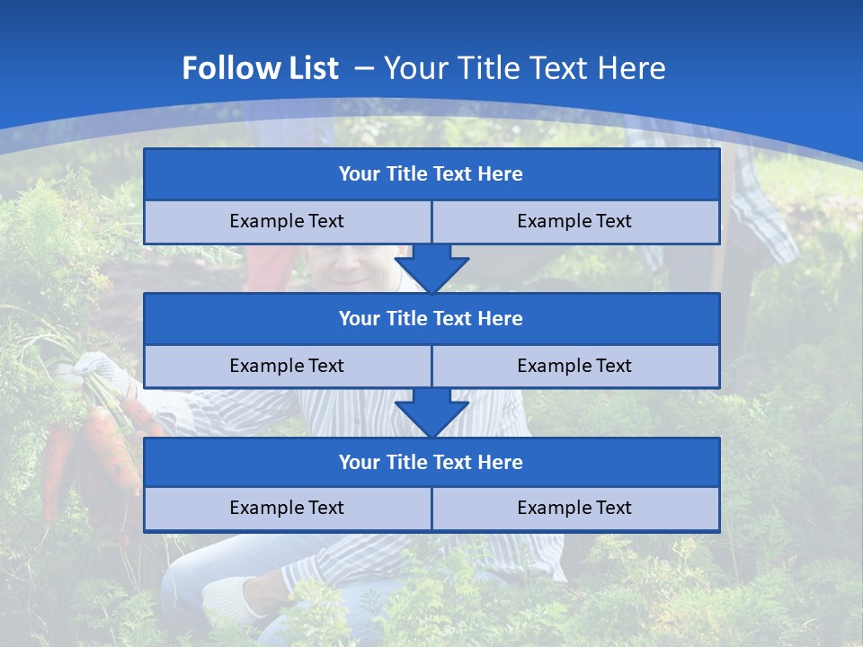 Lifestyle Showing Four PowerPoint Template