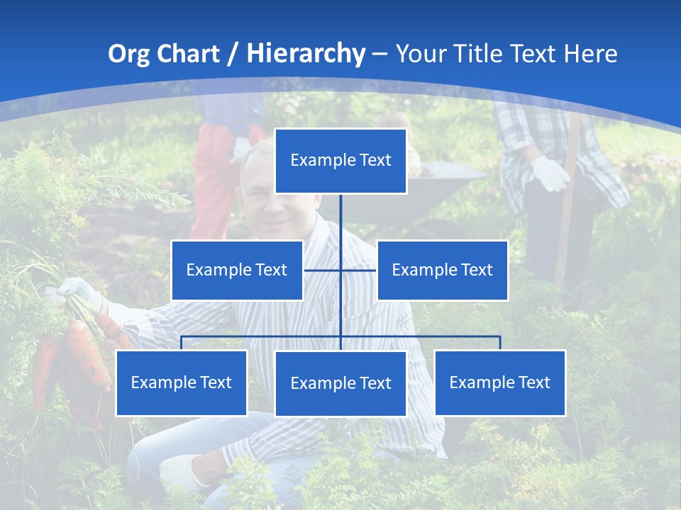 Lifestyle Showing Four PowerPoint Template