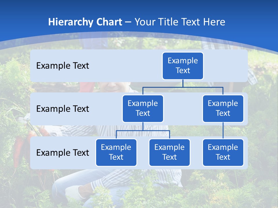 Lifestyle Showing Four PowerPoint Template