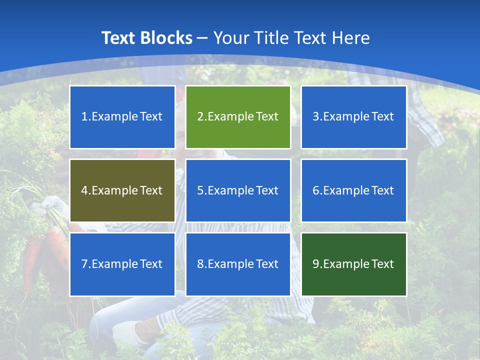 Lifestyle Showing Four PowerPoint Template