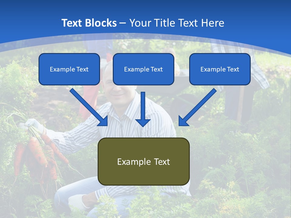 Lifestyle Showing Four PowerPoint Template