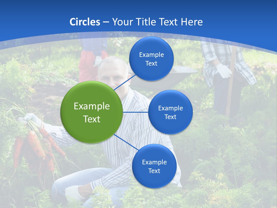 Lifestyle Showing Four PowerPoint Template