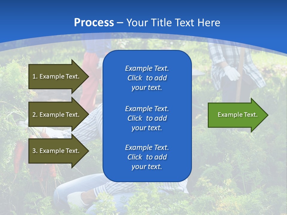 Lifestyle Showing Four PowerPoint Template
