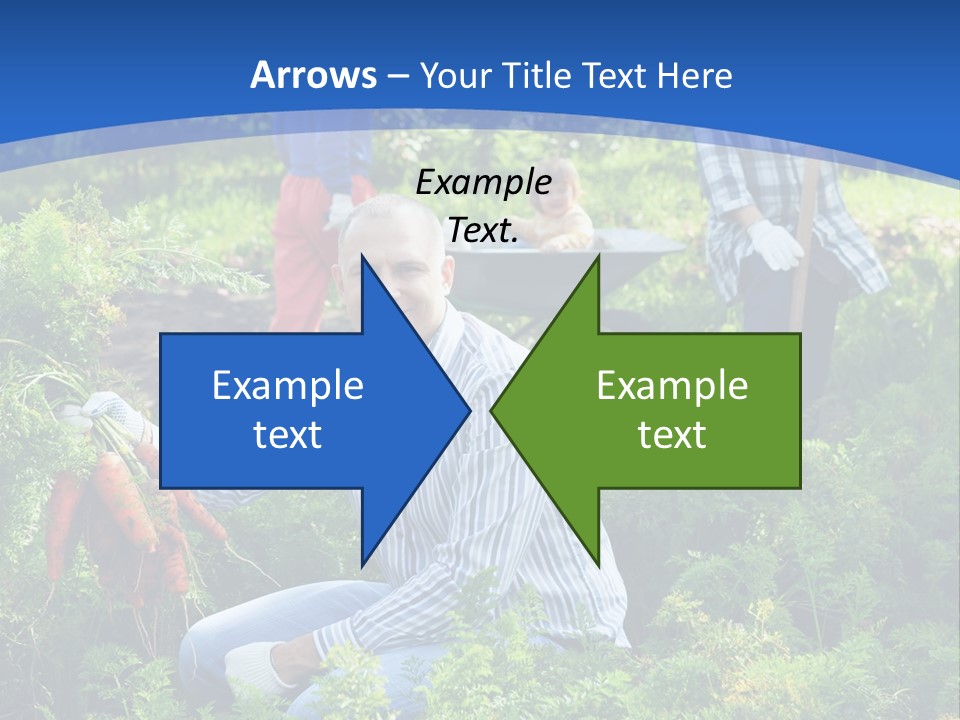 Lifestyle Showing Four PowerPoint Template