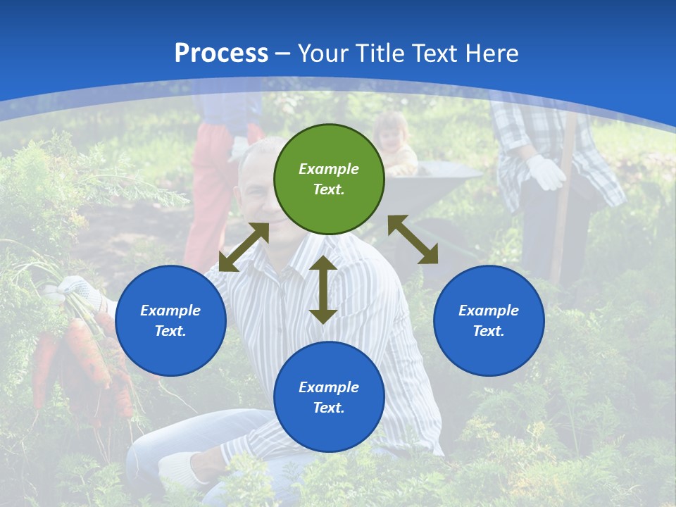 Lifestyle Showing Four PowerPoint Template