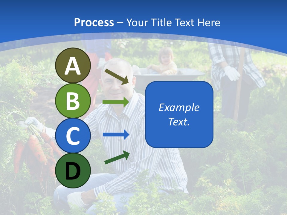 Lifestyle Showing Four PowerPoint Template