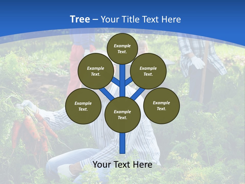 Lifestyle Showing Four PowerPoint Template