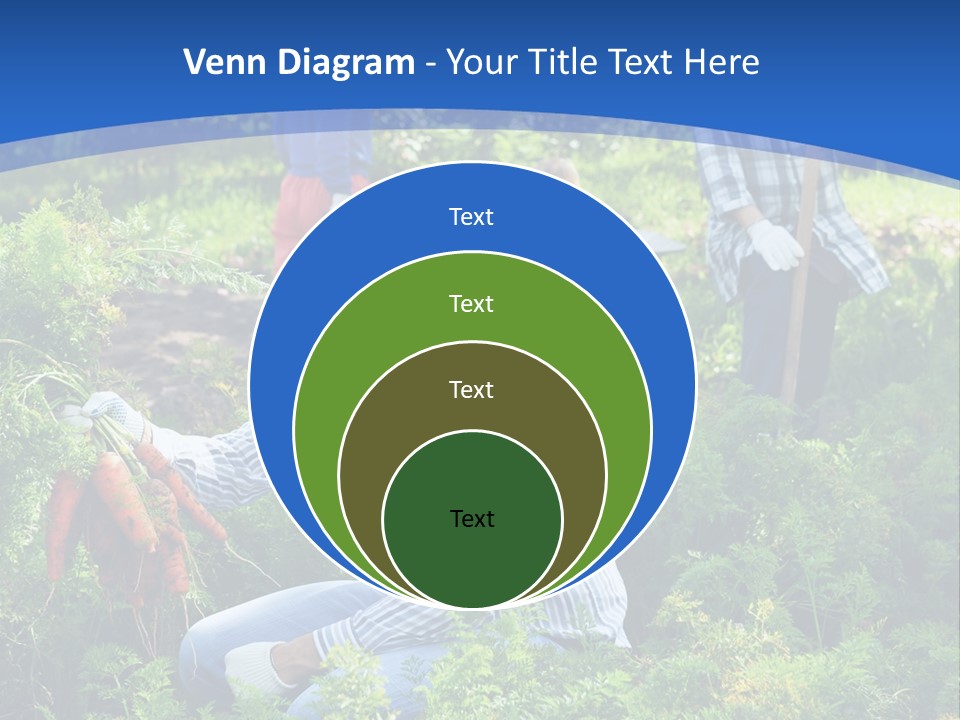 Lifestyle Showing Four PowerPoint Template