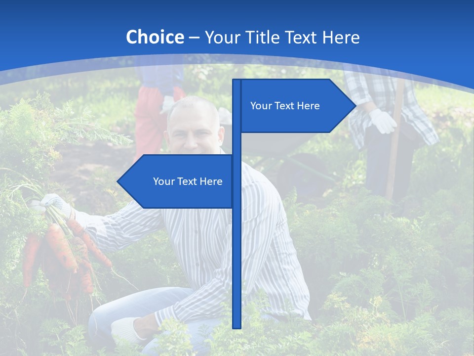 Lifestyle Showing Four PowerPoint Template