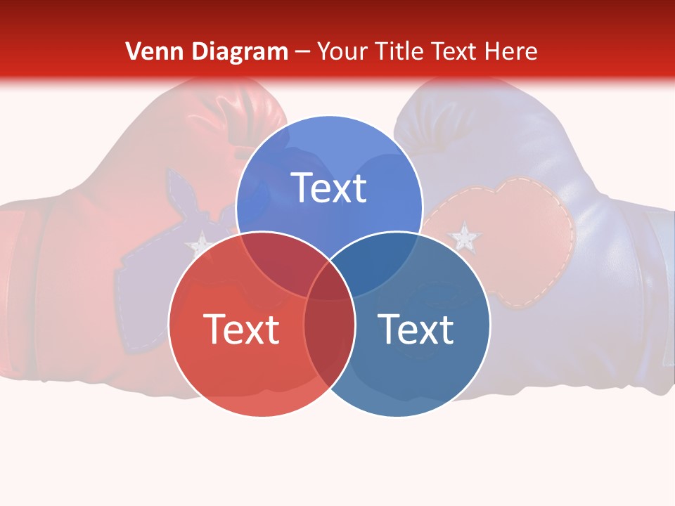 Election Debate American Election Democrat Party PowerPoint Template