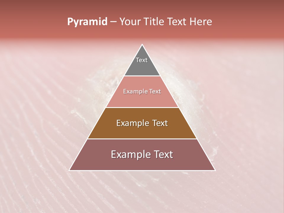 Macro Close Up Papillomavirus PowerPoint Template