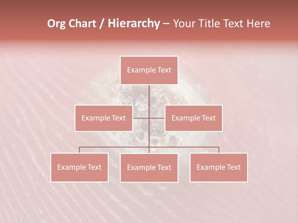 Macro Close Up Papillomavirus PowerPoint Template