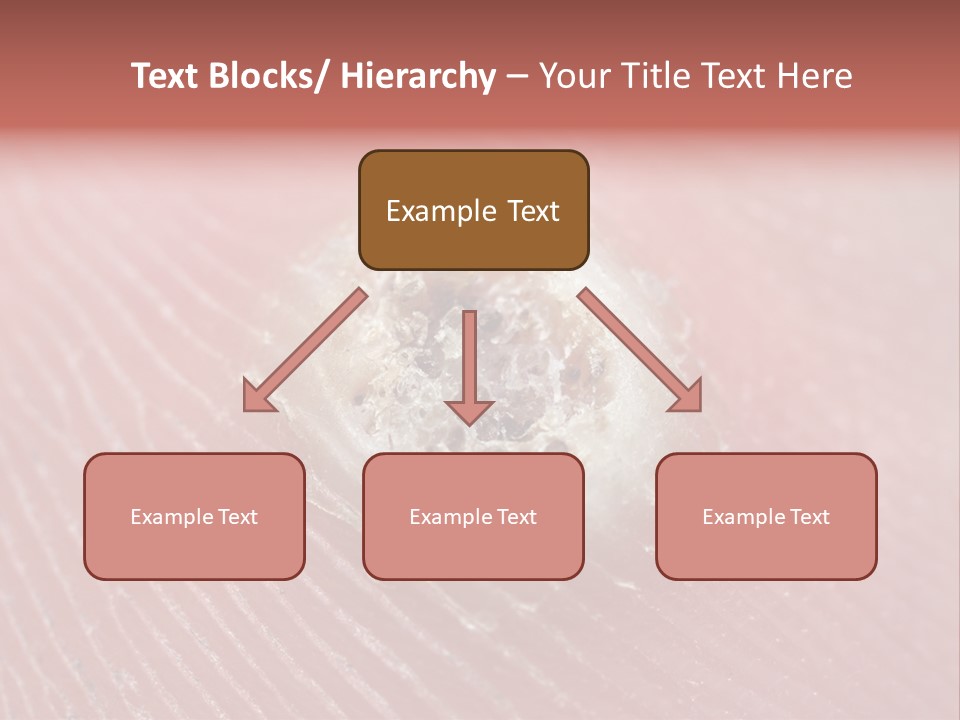 Macro Close Up Papillomavirus PowerPoint Template
