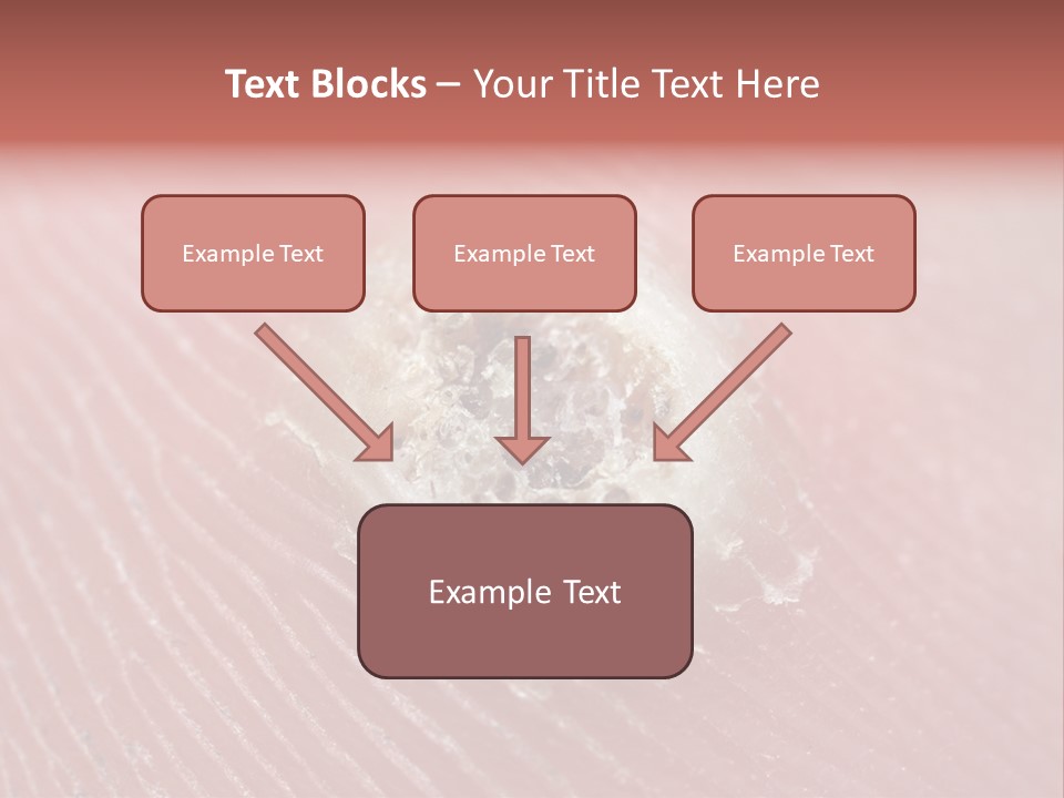 Macro Close Up Papillomavirus PowerPoint Template