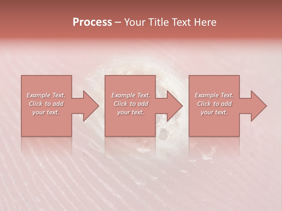 Macro Close Up Papillomavirus PowerPoint Template