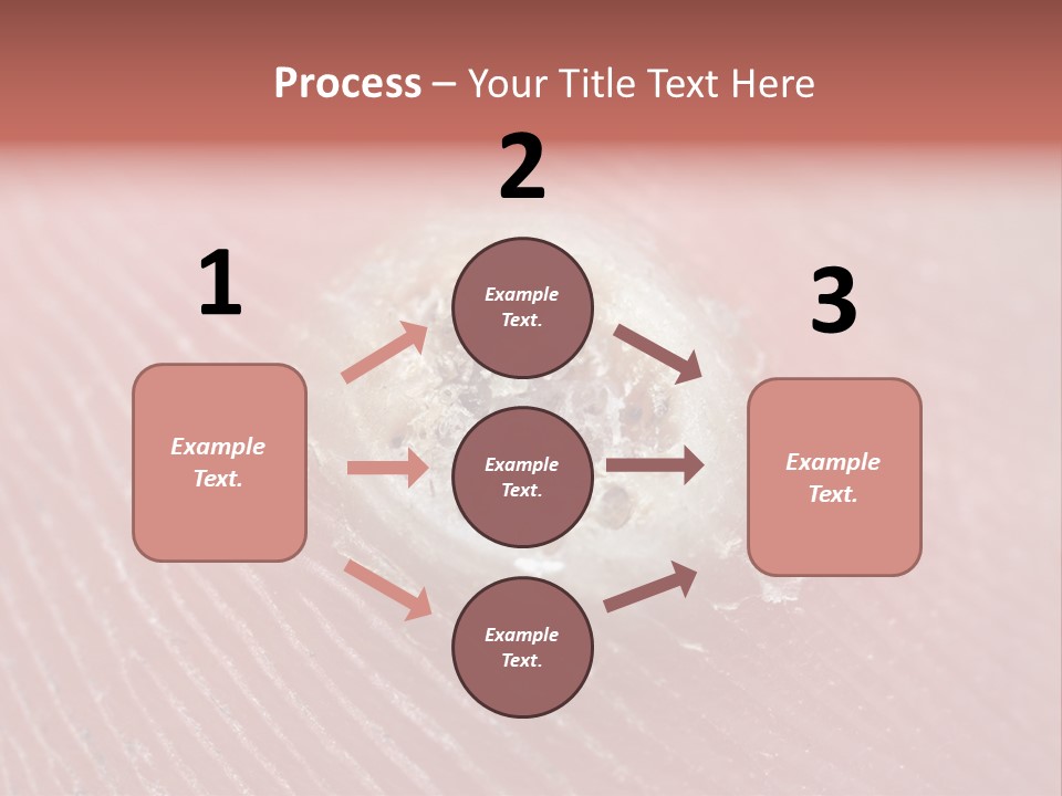 Macro Close Up Papillomavirus PowerPoint Template