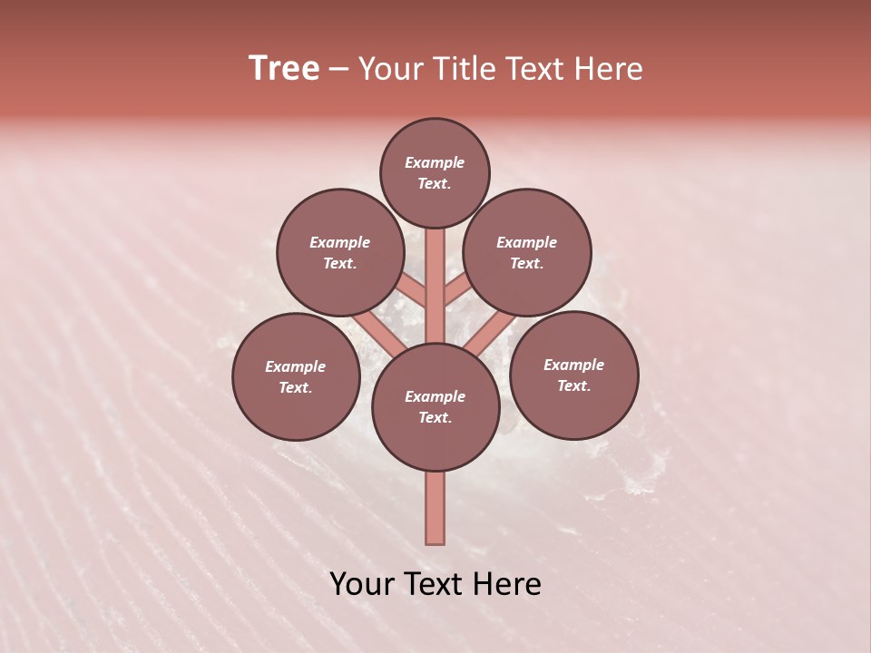 Macro Close Up Papillomavirus PowerPoint Template
