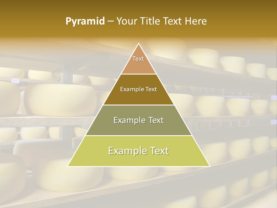 Shelf Round Nutrition PowerPoint Template