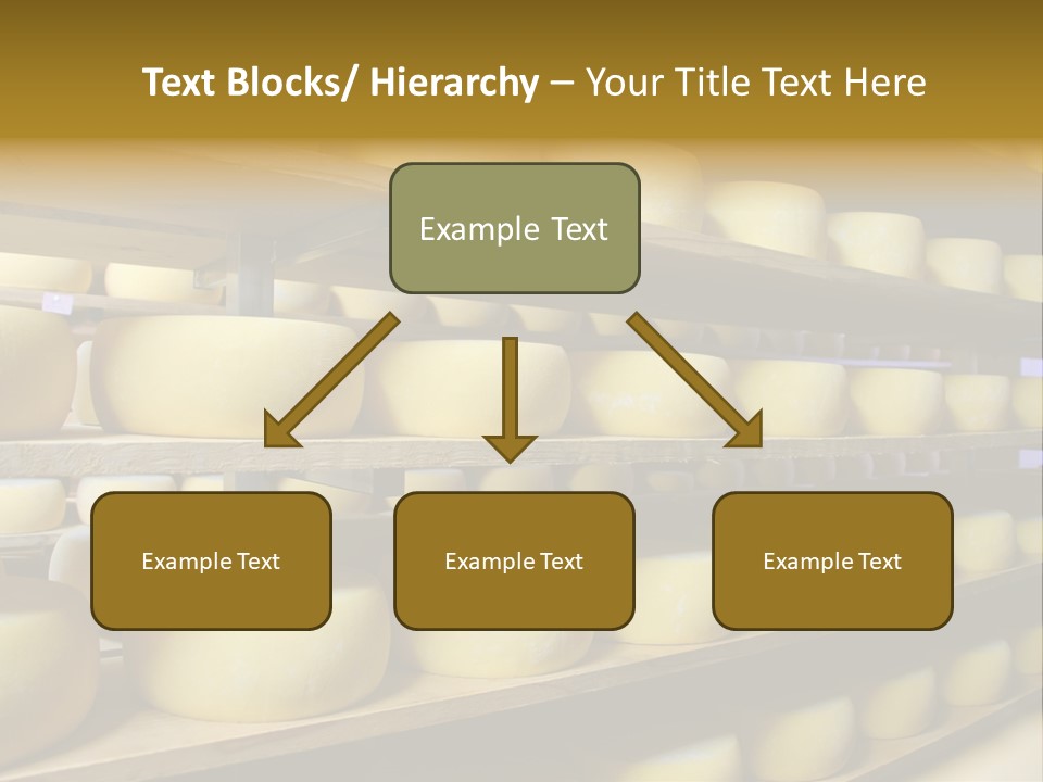 Shelf Round Nutrition PowerPoint Template