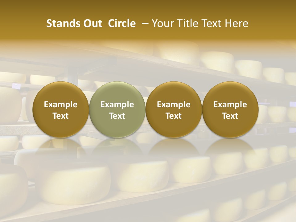 Shelf Round Nutrition PowerPoint Template