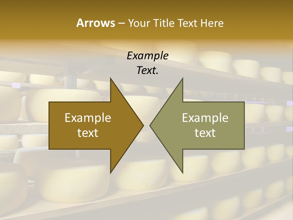 Shelf Round Nutrition PowerPoint Template