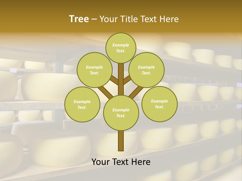 Shelf Round Nutrition PowerPoint Template