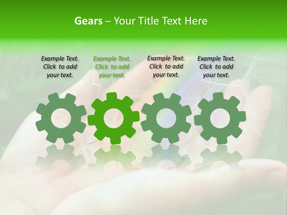 Pure Female Dandelion PowerPoint Template