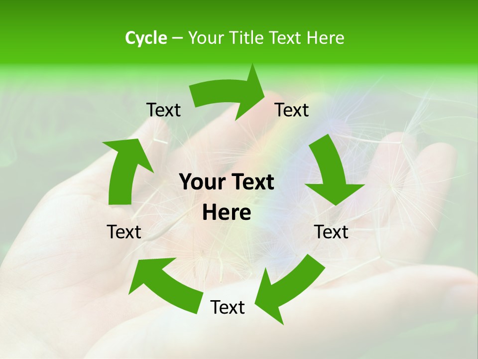 Pure Female Dandelion PowerPoint Template