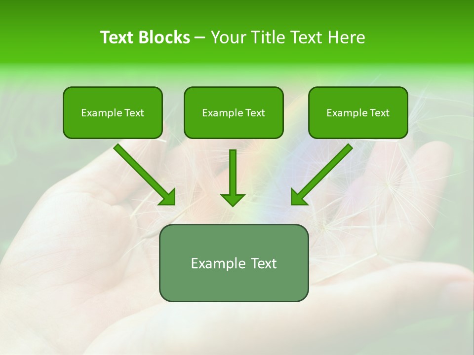 Pure Female Dandelion PowerPoint Template