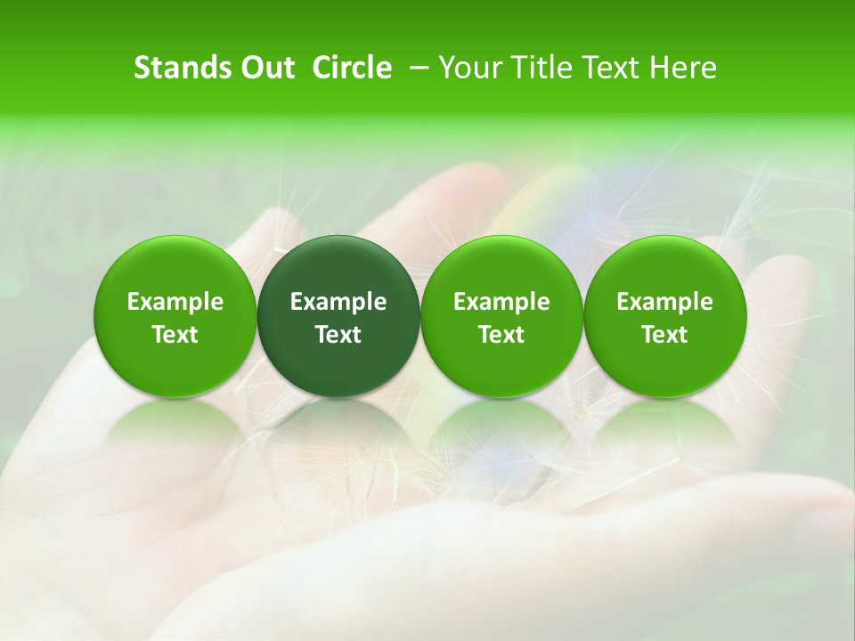 Pure Female Dandelion PowerPoint Template